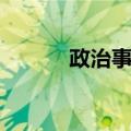 政治事务（关于政治事务简介）