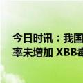 今日时讯：我国重点关注变异株XBB、BQ专家重症率死亡率未增加 XBB毒株和BQ毒株的致病性如何