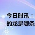 今日时讯：龙抬头的龙是什么几点抬 龙抬头的龙是哪条龙