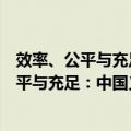 效率、公平与充足：中国义务教育财政政策（关于效率、公平与充足：中国义务教育财政政策简介）