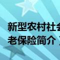 新型农村社会养老保险（关于新型农村社会养老保险简介）