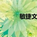 敏捷文化（关于敏捷文化简介）