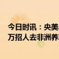 今日时讯：央美毕业生回老家做美甲没合适工作 企业月薪4万招人去非洲养鸡