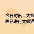 今日时讯：大熊猫丫丫或4月7日合同到期时回国 北京动物园已进行大熊猫丫丫回国全面准备工作