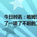 今日时讯：哈姆范德比尔特将首发主防东契奇 哈姆佩林卡做了一项了不起的工作现在阵容更加平衡且更有深度