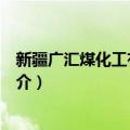 新疆广汇煤化工有限公司（关于新疆广汇煤化工有限公司简介）