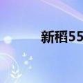 新稻55号（关于新稻55号简介）