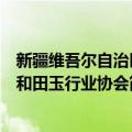 新疆维吾尔自治区和田玉行业协会（关于新疆维吾尔自治区和田玉行业协会简介）