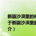 新疆沙漠里的神秘传说：世界没有我们看见的那么简单（关于新疆沙漠里的神秘传说：世界没有我们看见的那么简单简介）