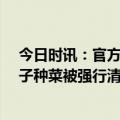 今日时讯：官方回应七旬爹爹婆婆卸30吨水泥 老人自家院子种菜被强行清理