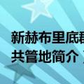 新赫布里底群岛共管地（关于新赫布里底群岛共管地简介）