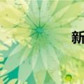 新鬓（关于新鬓简介）