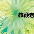 教鞭老师（关于教鞭老师简介）