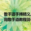 散手道手搏精义/实用散手道教程（关于散手道手搏精义/实用散手道教程简介）