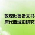 敦煌吐鲁番文书与唐代西域史研究（关于敦煌吐鲁番文书与唐代西域史研究简介）