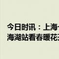 今日时讯：上海一公园周末约19万人次打卡 去上海5号线金海湖站看春暖花开