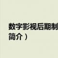 数字影视后期制作 第二版（关于数字影视后期制作 第二版简介）