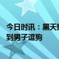 今日时讯：黑天鹅攻击黑衣女生被反手制服 网友川藏线上拍到男子逗狗