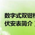 数字式双钳相位伏安表（关于数字式双钳相位伏安表简介）