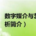 数字媒介与艺术论析（关于数字媒介与艺术论析简介）