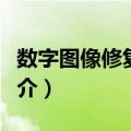 数字图像修复技术（关于数字图像修复技术简介）