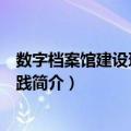 数字档案馆建设理论与实践（关于数字档案馆建设理论与实践简介）