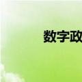 数字政府（关于数字政府简介）