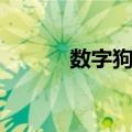 数字狗狗（关于数字狗狗简介）