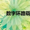 数字环路载波（关于数字环路载波简介）