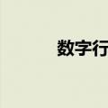 数字行棋（关于数字行棋简介）