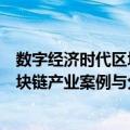 数字经济时代区块链产业案例与分析（关于数字经济时代区块链产业案例与分析简介）