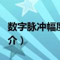 数字脉冲幅度调制（关于数字脉冲幅度调制简介）