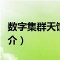 数字集群天馈系统（关于数字集群天馈系统简介）