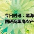 今日时讯：黑海运粮通道已外运约2400万吨粮食 俄与联合国磋商黑海农产品外运协议