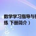 数学学习指导与技能训练 下册（关于数学学习指导与技能训练 下册简介）