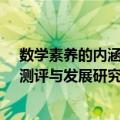 数学素养的内涵、测评与发展研究（关于数学素养的内涵、测评与发展研究简介）