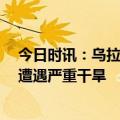 今日时讯：乌拉圭农业因旱灾将损失超18亿美金 全球多地遭遇严重干旱