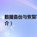 数据备份与恢复实训教程（关于数据备份与恢复实训教程简介）