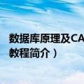 数据库原理及CASE技术教程（关于数据库原理及CASE技术教程简介）