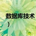 数据库技术 高级（关于数据库技术 高级简介）