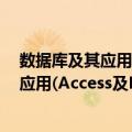 数据库及其应用(Access及Excel) 第3版（关于数据库及其应用(Access及Excel) 第3版简介）