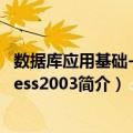 数据库应用基础--Access2003（关于数据库应用基础--Access2003简介）