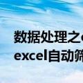 数据处理之excel自动筛选（关于数据处理之excel自动筛选简介）