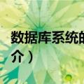 数据库系统的特点（关于数据库系统的特点简介）