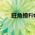 旺角揸Fit人（关于旺角揸Fit人简介）