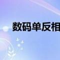 数码单反相机（关于数码单反相机简介）