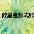 数量金额式账簿（关于数量金额式账簿简介）