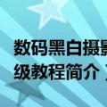 数码黑白摄影高级教程（关于数码黑白摄影高级教程简介）