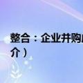 整合：企业并购成功之道（关于整合：企业并购成功之道简介）