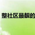 整社区最靓的仔（关于整社区最靓的仔简介）